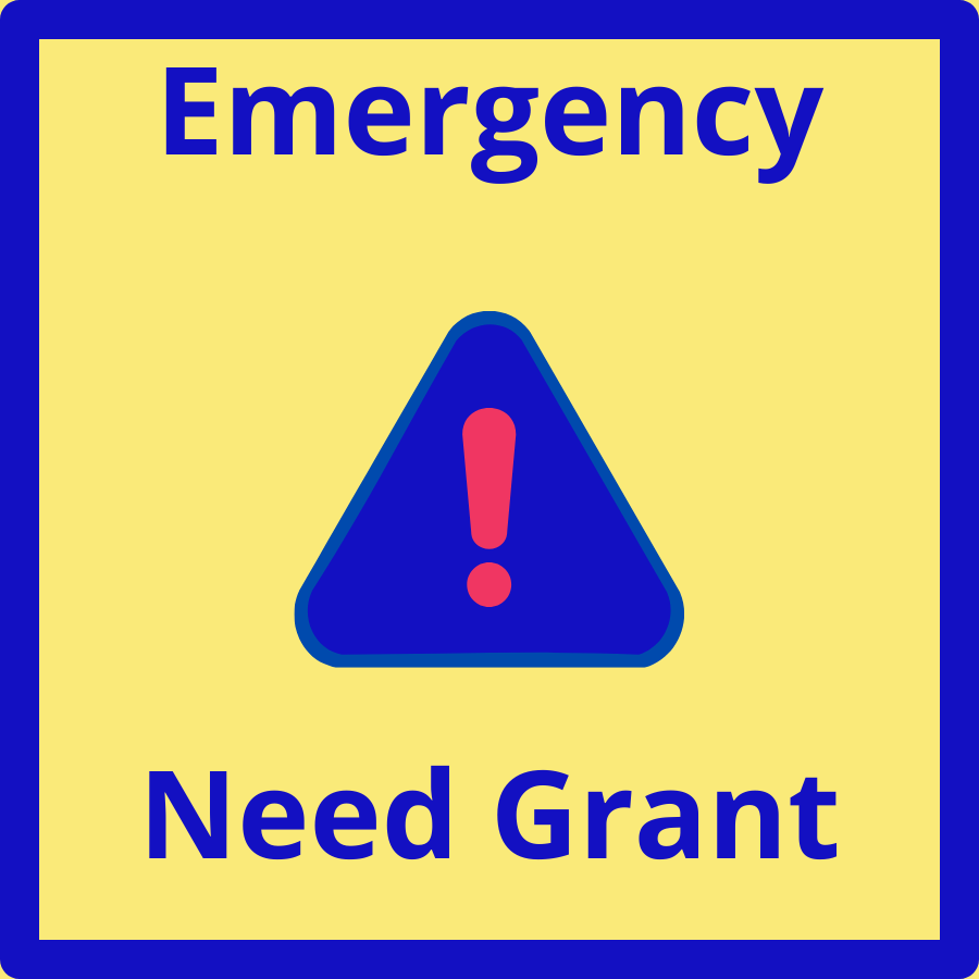 Emergency Need Icon