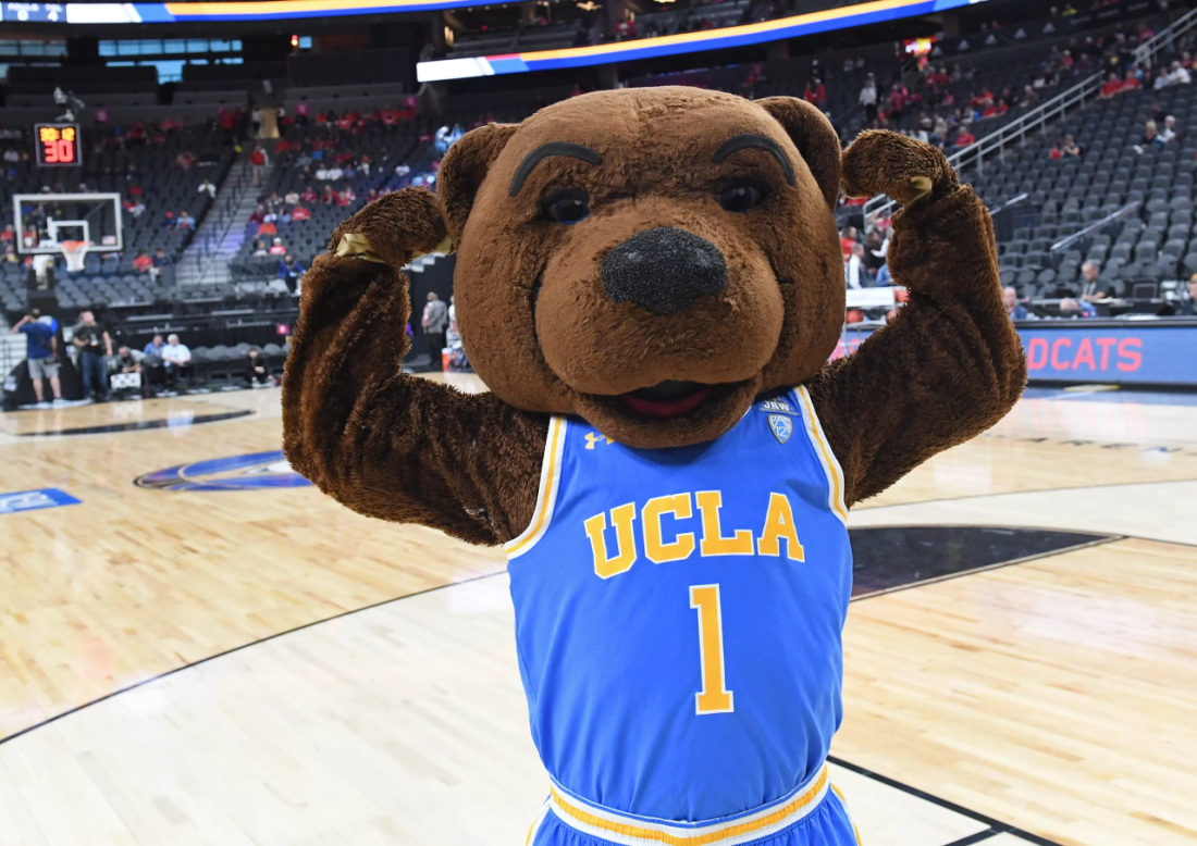 Ucla Mascot in Basket Ball Match