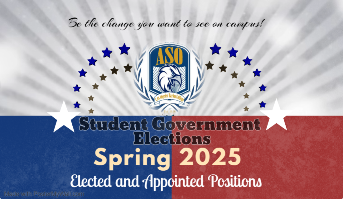 Flyer for Spring 2025 Elections